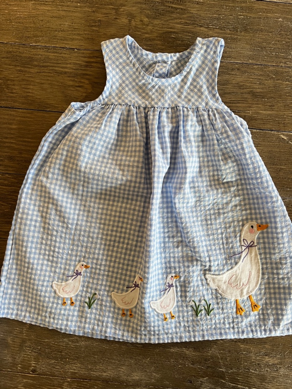 Blue Gingham Duck Embroidered Kids Dress